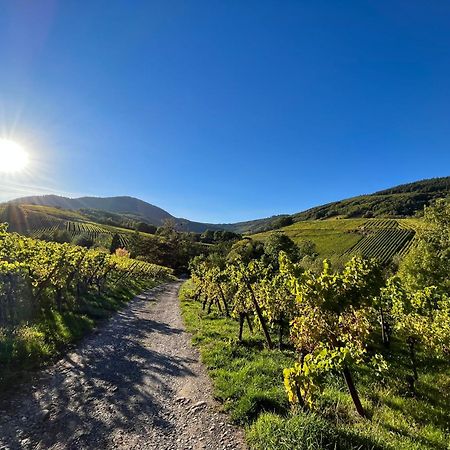 Domaine Bleesz Panzió Reichsfeld Kültér fotó