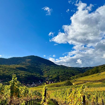 Domaine Bleesz Panzió Reichsfeld Kültér fotó